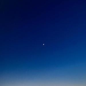 so long, farewell (feat. dugi the dog) (slowed and reverbed)