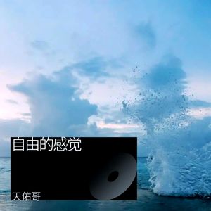 胜利呼唤封面
