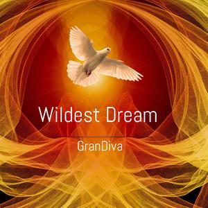 Wildest Dream (Explicit)