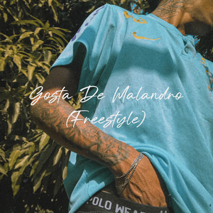 Gosta de Malandro (FREESTYLE) (Explicit)