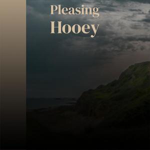 Pleasing Hooey