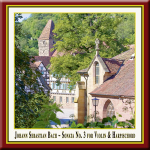 Sonata No. 3 for Violin and Harpsichord in E Major, BWV. 1016 - II. Allegro (E大调第3号小提琴和大键琴奏鸣曲，作品1016 - 第二乐章，快板)