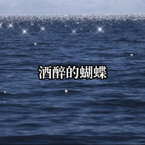 来生再拥抱你DJ