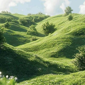 vita nova (feat. Zachariehs)