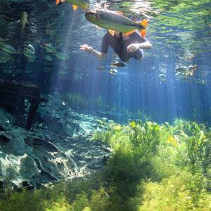 Against the world (feat. R1ck33) (Explicit)