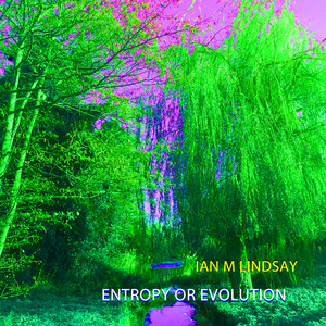 Entropy or Evolution