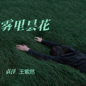 雾里昙花伴奏 (伴奏)