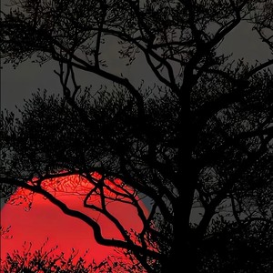 Be My Lover-DJ PARSLEY