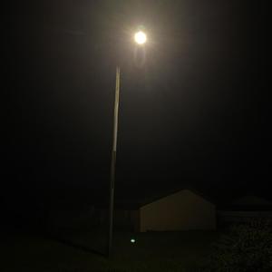 Standing Alone (Explicit)