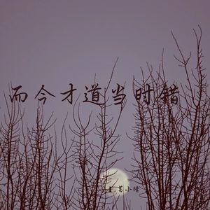 而今才道当时错 (深情女生版)