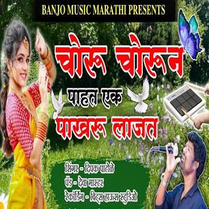Choru Chorun Pahat Ek Pakhru Lajat