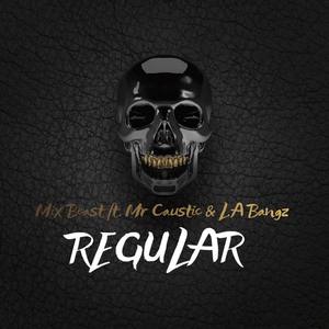 Regular (feat. Mr Caustic & LA Bangz)