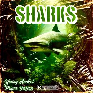Sharks (feat. Prince DaDon) (Explicit)
