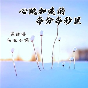 心跳加速的每分每秒里