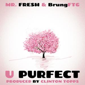 u purfect (feat. BrungFTG) [remix] [Explicit]