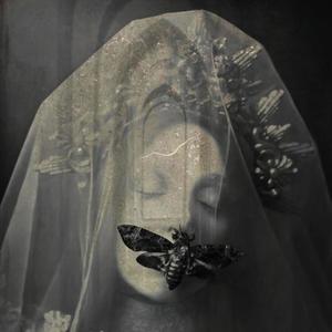 debauchery (feat. LMG & Dutchrevz) (Explicit)