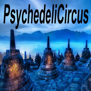 Psychedelic Circus "The Best of Psy Techno, Goa Trance & Progressice Tech House Anthems"