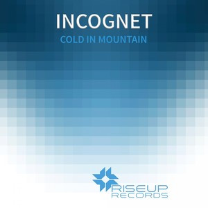 Beautiful Day Friday (Incognet Remix)
