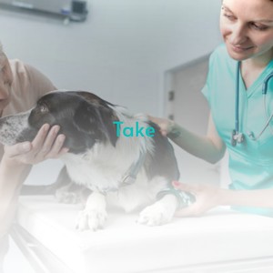 Take