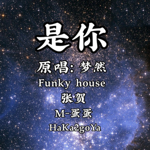 是你 (张贺|M-蛋蛋|HaKa2goYa remix|Remix)