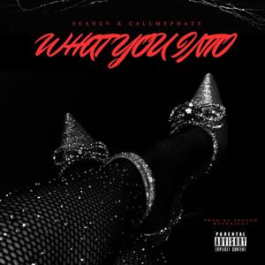 What You Into (feat. CallMePhats) [Explicit]