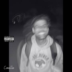 Camellia! (Explicit)