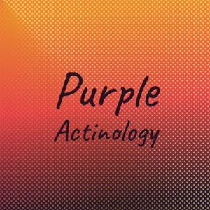 Purple Actinology