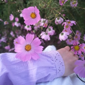 这世界那么多人