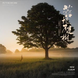 菩提不是树