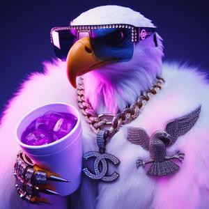 Double C Birds (feat. kidd keta & G7LEELOO) (Explicit)