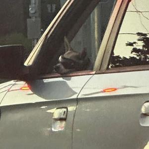 deception (Explicit)