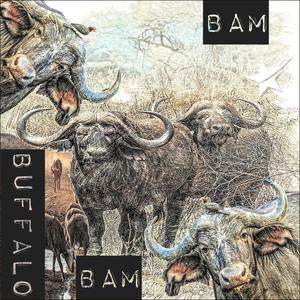 Bam Bam Buffalo