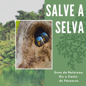 Salve a Selva - Contra Desmatamento da Amazônia com Sons da Natureza, Rio e Canto de Pássaros