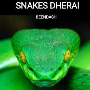 SNAKES DHERAI (Explicit)