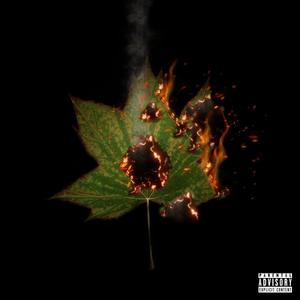 Riesco a capirti(feat. Ayden Lau) (Explicit)