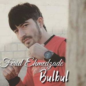 Bulbul