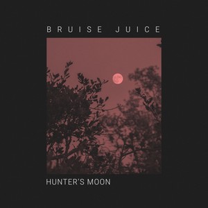 HUNTER'S MOON