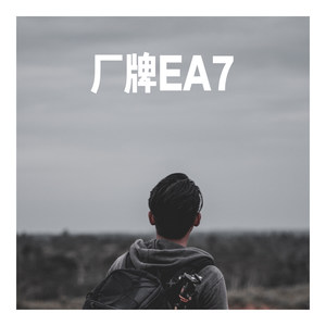 蹦迪专用上头曲 (Remix)