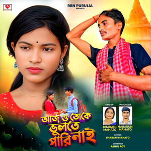 Ajo Toke Vulte Pari Nai