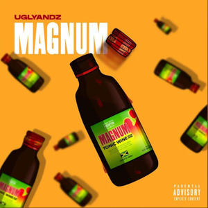 Magnum (feat. Ugly Andz.) (Explicit)