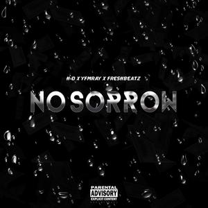 NO Sorrow (feat. Y.F.M Ray & FreshBeatz) [Explicit]