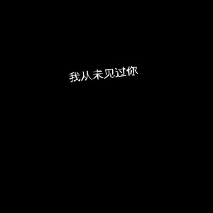 我从未见过你