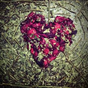 Best Times (feat. UnFaZed)