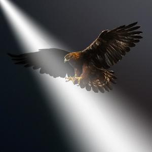 Trippin (feat. Ton The Guy & Keezy Wit A Banger) (Explicit)