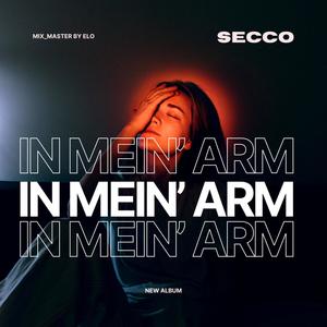 In mein' Arm (Explicit)