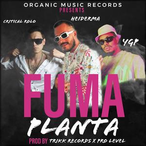 Fuma planta (feat. Heiderma, YGP, Critical Rolo, Trikk Records & Pro Level) (Explicit)