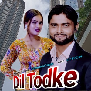 Dil Todke