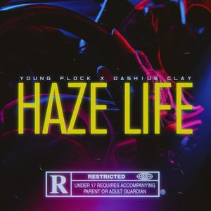 Haze Life (feat. Young Flock) [Explicit]