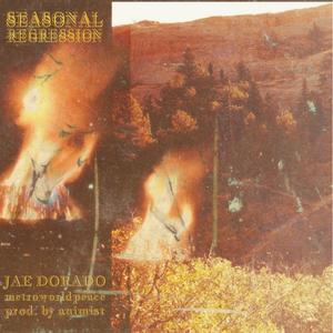 seasonal regression(feat. metroworldpeace) (Explicit)