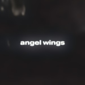 angel wings (Explicit)